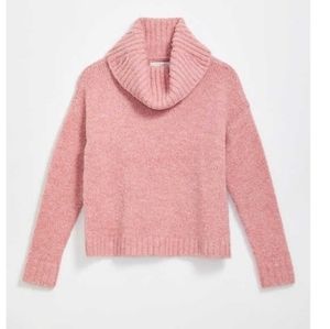 Loft Cropped Cowl Neck Sweater